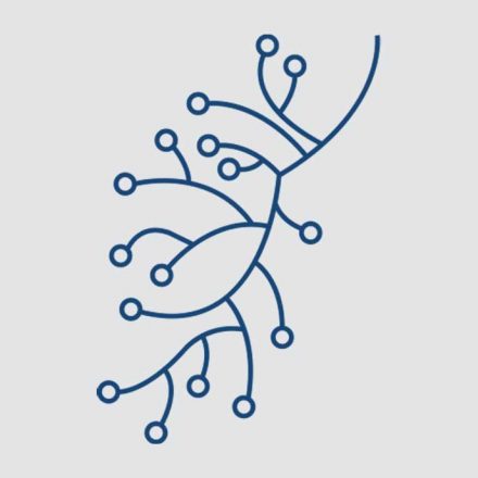 Lung Cancer Policy Network