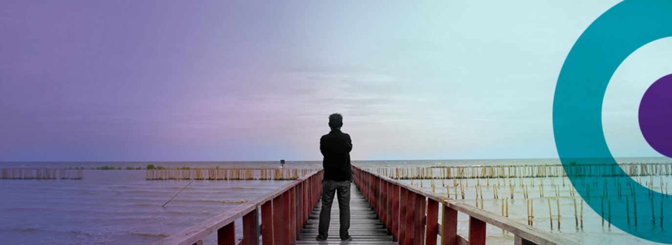 person standing on a wooden bridge looking out