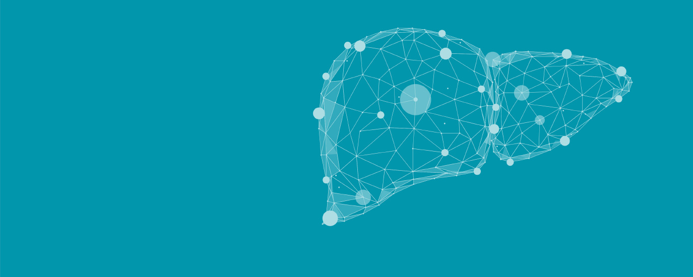 graphic of a liver in a white geometric pattern on a teal background