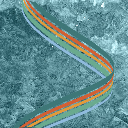 Fragility Fracture Network policy toolkit