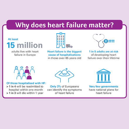 MEPs and HF Policy Network launch Written Declaration on Heart Failure