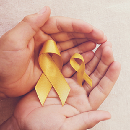 Success in sarcoma policy: lessons for rare cancer communities
