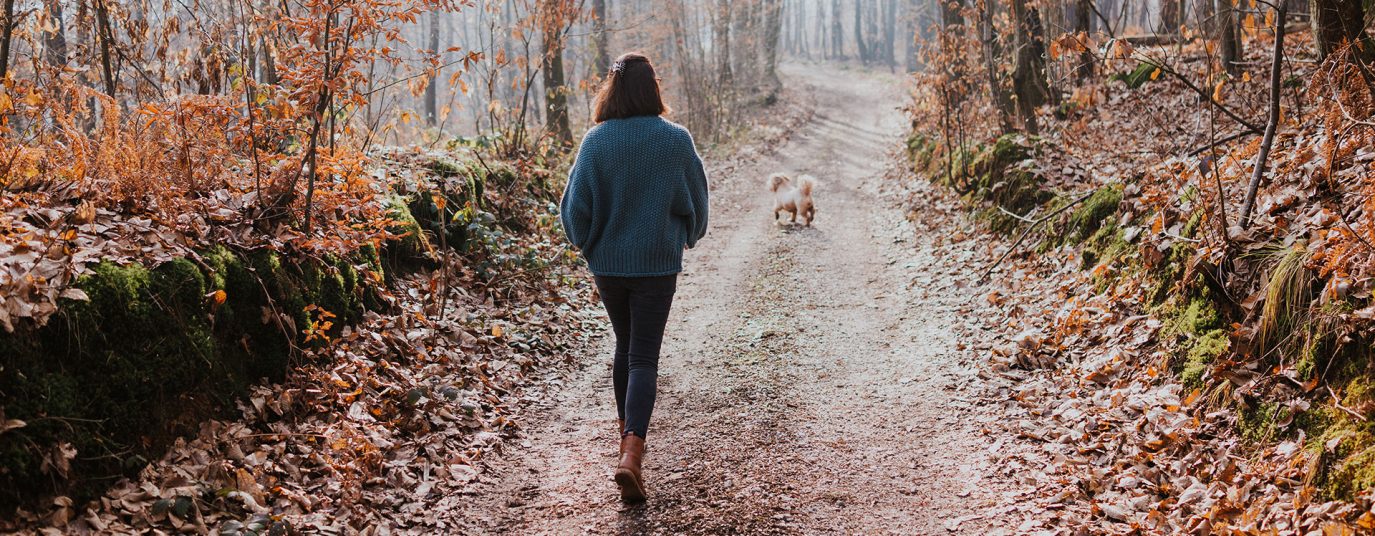 back view of woman walking in the woods in Autumn