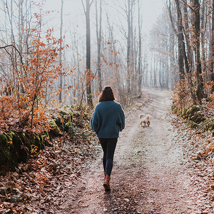 My experience with autoimmune encephalitis: a year of recovery