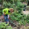 HPP celebrates Clean Air Day 2025