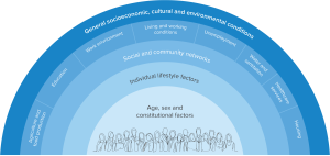 Semi-circular graphic which is flat along the bottom, with different layers of curves emanating from the centre. The text in the centre reads: 'Age, sex and constitutional factors'. The next layer reads: 'Individual lifestyle factors'. The next layer reads: 'Social and community networks'. The next layer is split into eight sections, which read: 'Agriculture and food production; Education; Work environment; Living and working conditions; Unemployment; Water and sanitation; Healthcare services; Housing'. The next layer reads 'General socioeconomic, cultural and environmental conditions'.