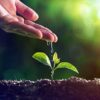 Health as an investment: time to shift the rhetoric