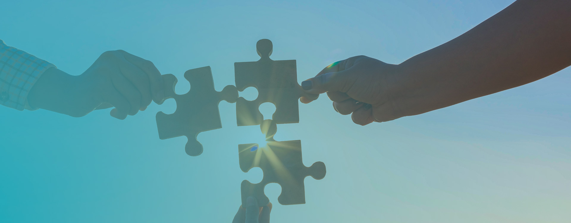 Our partnerships
