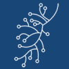  Website and social media