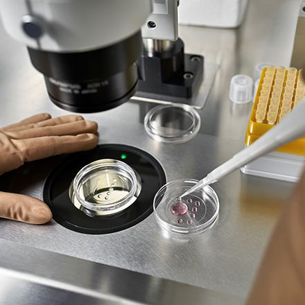 Why a lack of data on long-term impact may deter potential egg donors