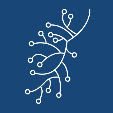 Lung Cancer Policy Network focuses on earlier detection to mark Lung Cancer Awareness Month
