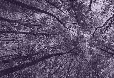 Internal strategy and capacity-building