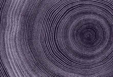 Narratives to build advocacy and guide policy action