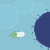 National calls to action supporting integration of radioligand therapy into cancer care