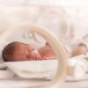 The impact of COVID-19 on care for premature babies