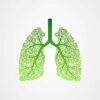 Lung health now: a global call to action