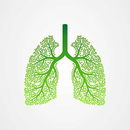 Lung health now: a global call to action